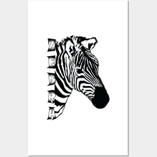 Zebra, design, wildlife, safari, animals Posters and Art